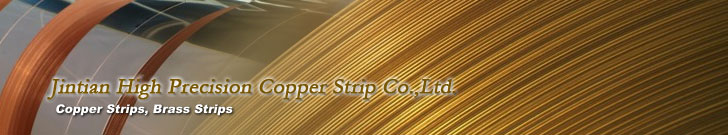 Copper Strips, Bronze Strips, Brass Strips, High Precision Copper Strip, Phosphor Bronze Strip