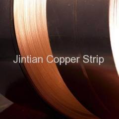 Copper Strip, Tin Phosphor Bronze Strip